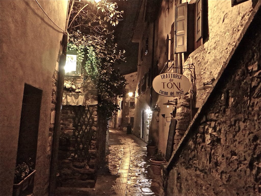 Grado nel cuore